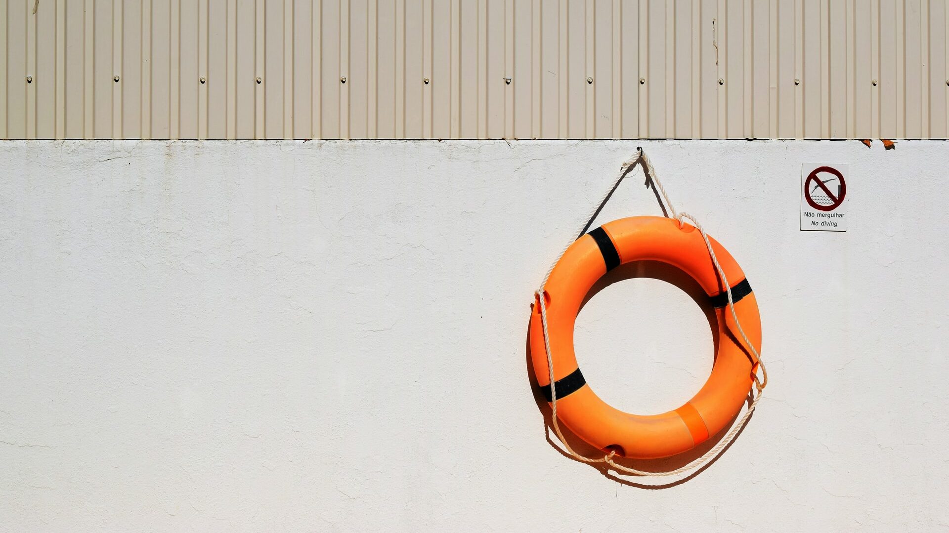 Photo of a life ring hanging on a white wall.